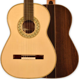 guitars-altamira-torres-model1888-front-back